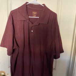 Polo Mens Shirt