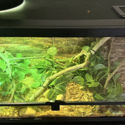 Snake Enclosure + Lil Guy