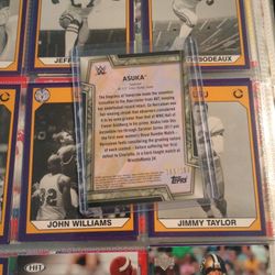 WWE WRESTLING CARDS
