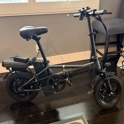 500 Watt E-bike 