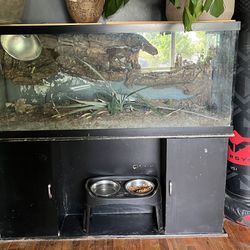 120 Gallon Fish Tank ($100 Firm On Price)