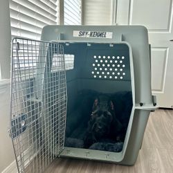 XL Airline Dog Crate 
