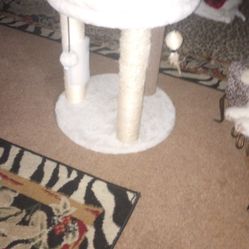 Small Cat 😺 Tower 