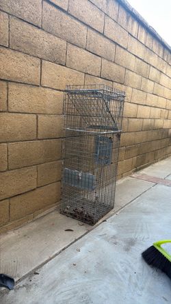 Animal trap