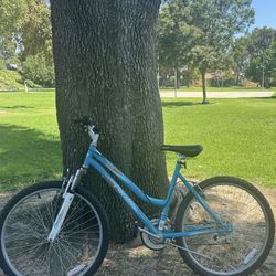 Bike ( Needs Fixing) 