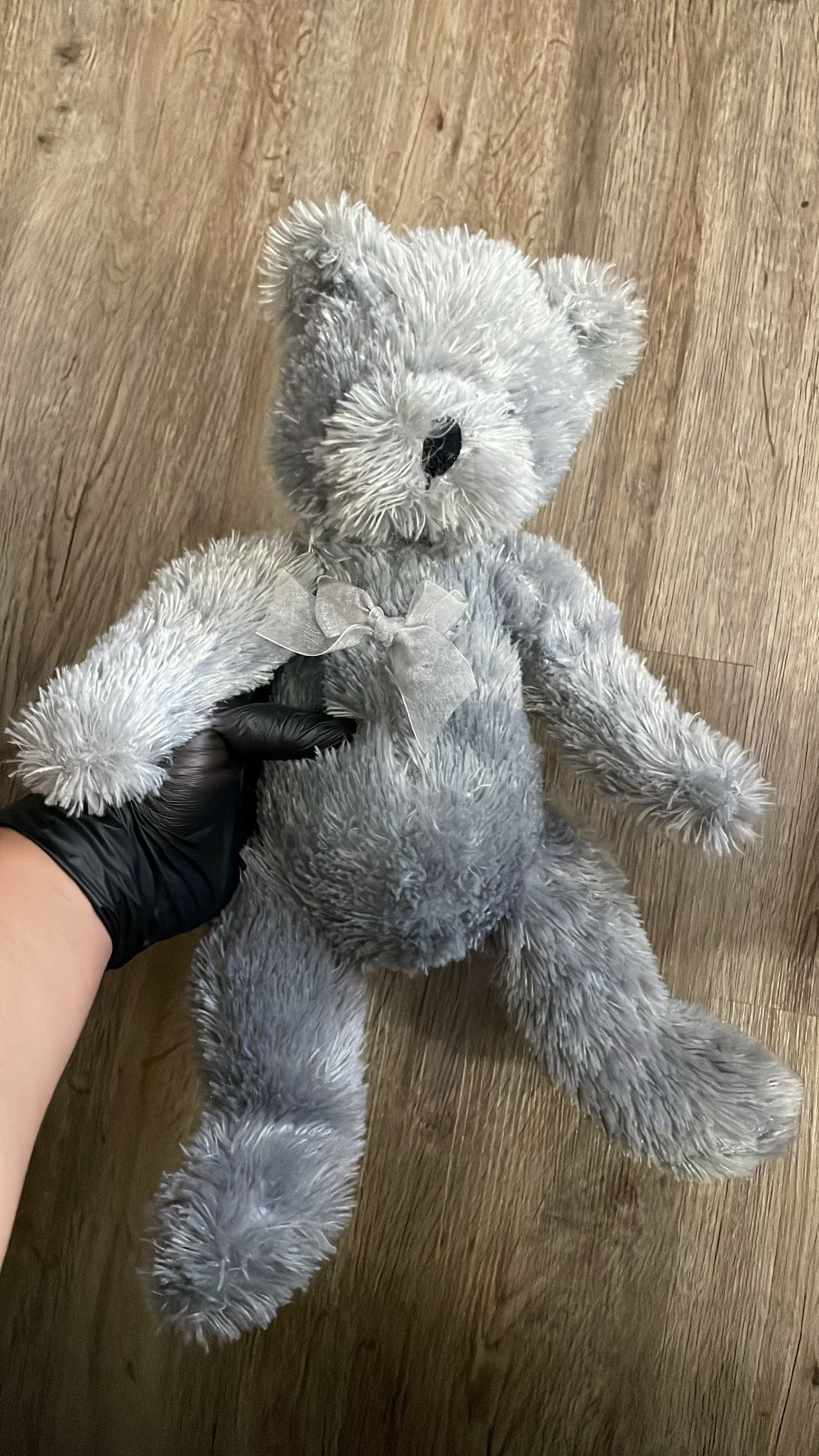 Grey Teddy Bear