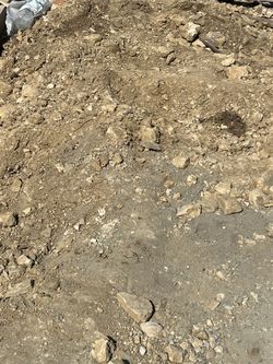 FREE DIRT