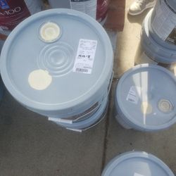 New Paint
