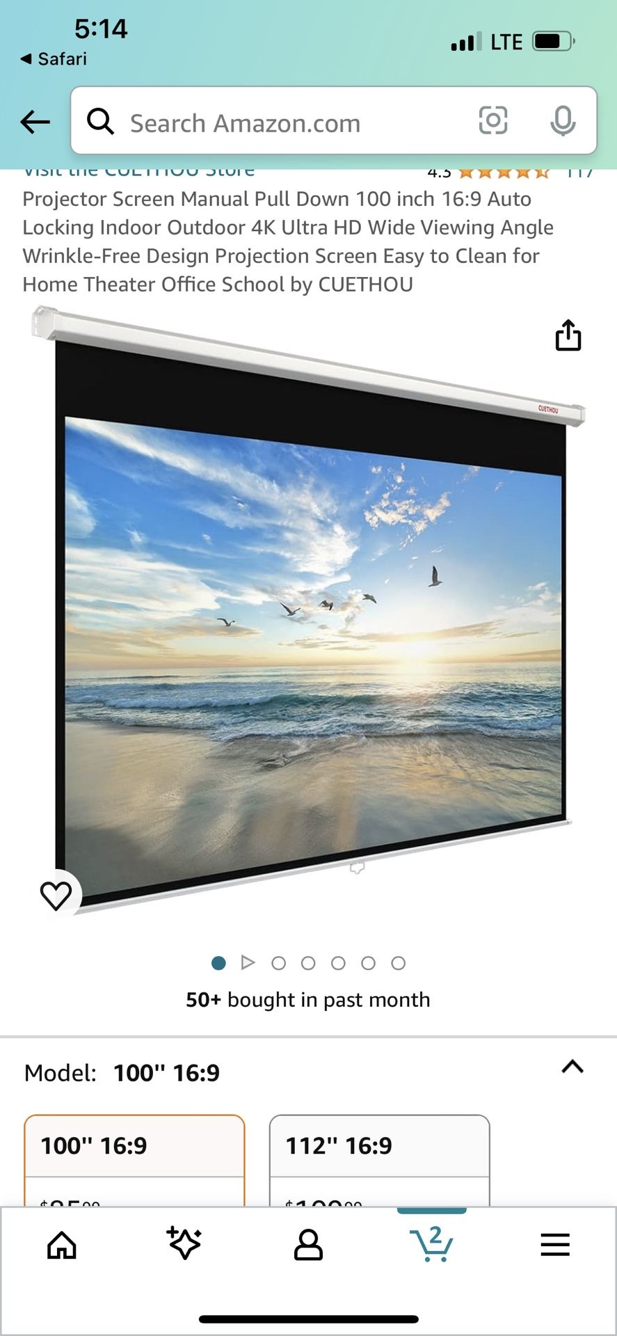 Projector Screen 