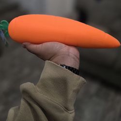 Sunny Days Squeezy Carrot