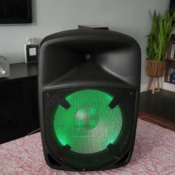 ION Bluetooth Speaker 12 Woofer 