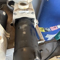 Pool Pump Motor
