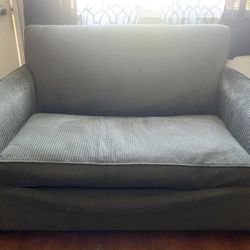 Crate&Barrel Sofa bed Loveseat 