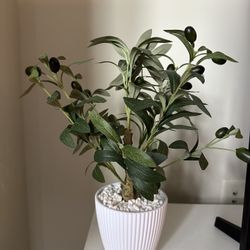 Artificial Olive Tree/ Faux Feathers In A Vase 