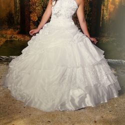 Quince/ Wedding Dress 