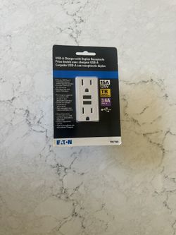 Eaton 15 -Amp 125-volt Tamper Resistant Residential/Commercial Decorator USB Outlet