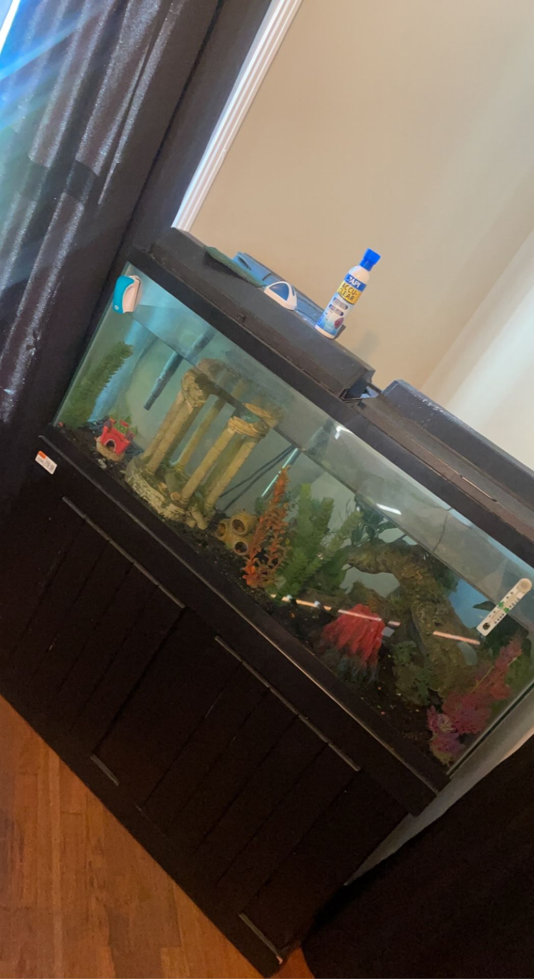 Fish Tank 