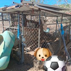 Dog Kennel