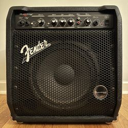 Fender Bassman 25