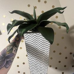 Fake Plant Decor 