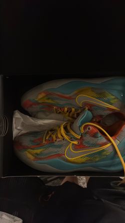 Kobe 8 Venus beach size 6.5 for 45$