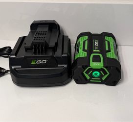 Ego battery and charger 🔋 🔌
