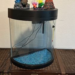 Big Fish Tank With All Supplies In Pictures  10G