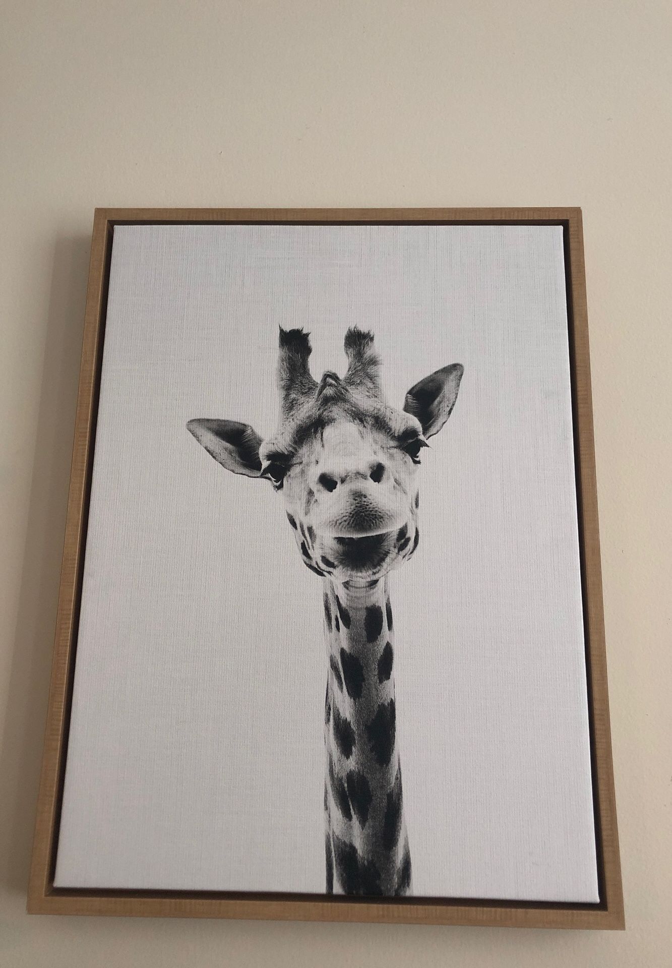 Giraffe picture