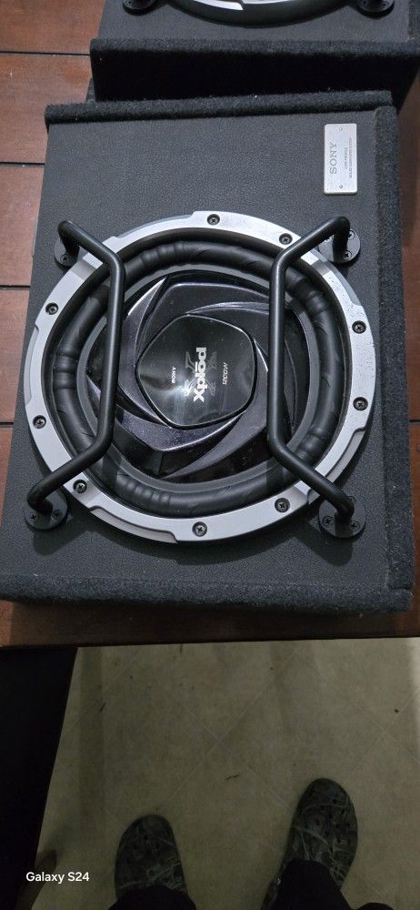 2 10" Sony Subwoofer