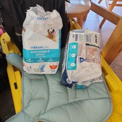 large doggie diapers- disposable