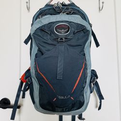 Osprey Nebula Backpack - $50