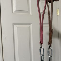 Dog Leashes