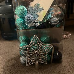 Free Ornaments Fist Come First Serve 