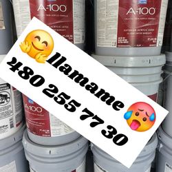 Pintura Y Primer 
