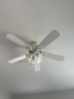 Sealing Fan