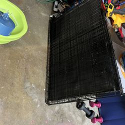Large Kennel