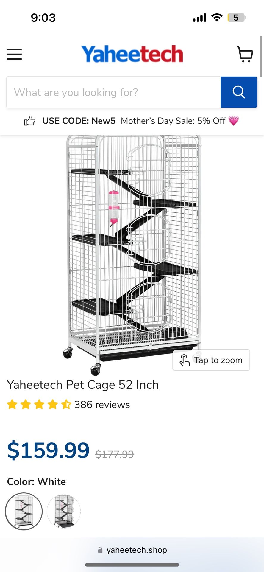 Bird Cage