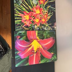 Canvas Flower Paintings 
