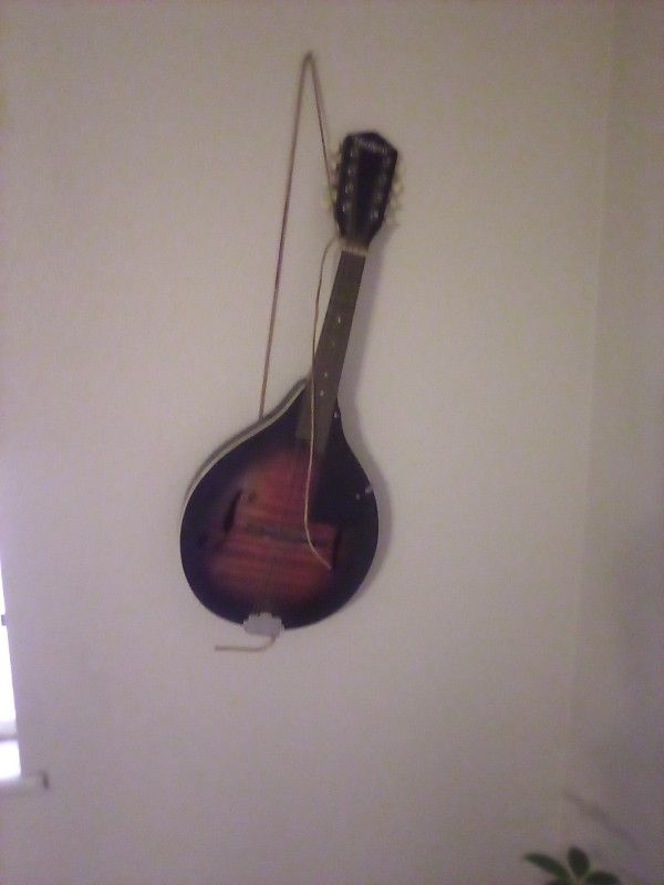 Harmony Mandolin
