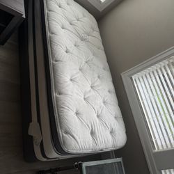 Twin Bed And Box Spring 