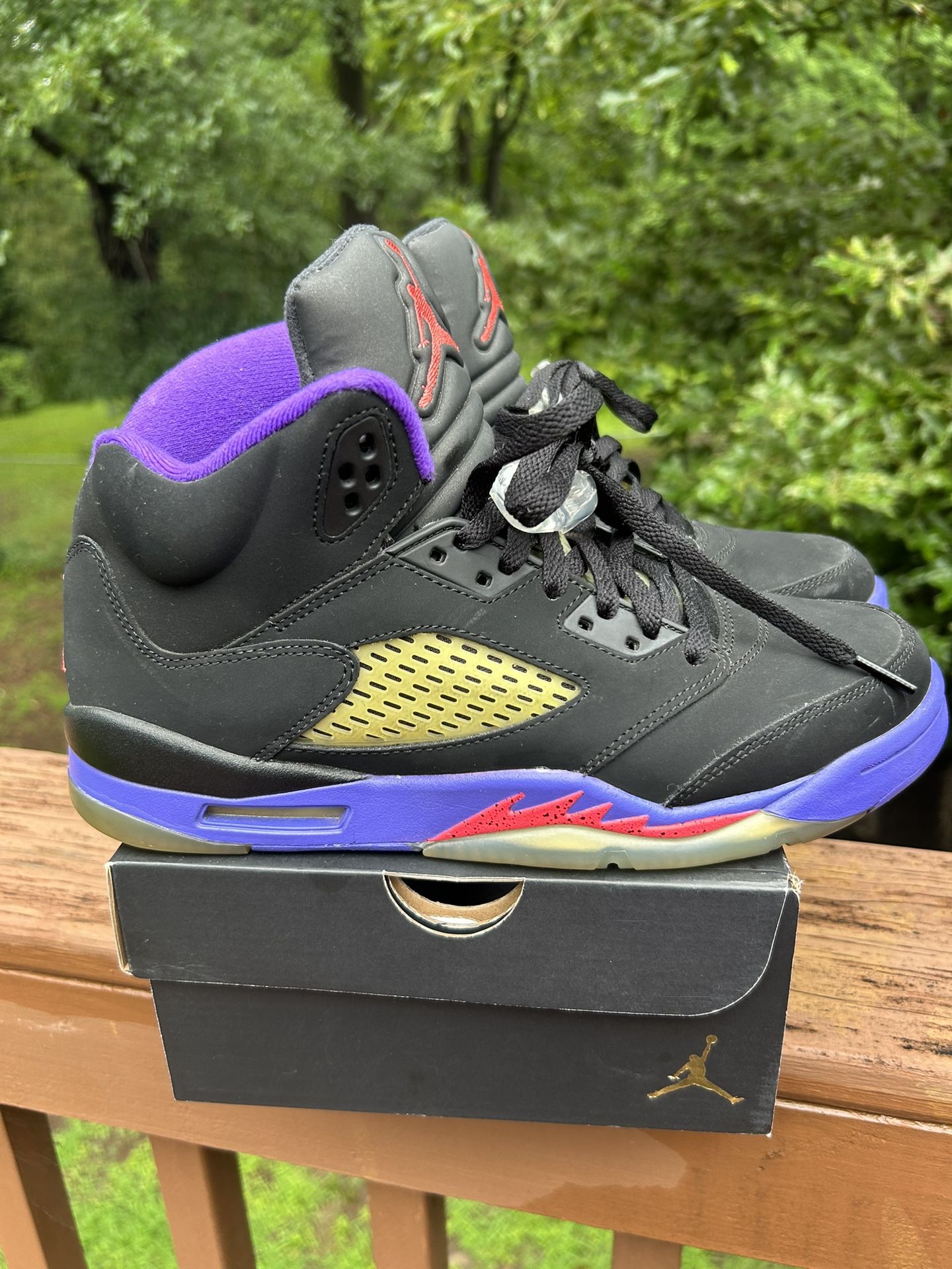 Men Air Jordan 5 Retro Raptors