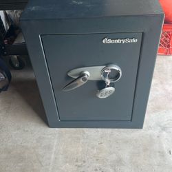 Sentry Safe 2.5 Cu Ft