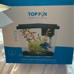 1 Gallon Fish Tank