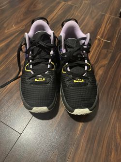 LeBrons Basketball Shoes
