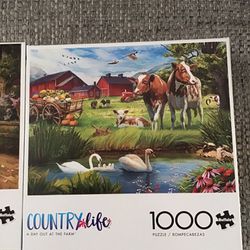 Country 1000 Pieces Puzzles 