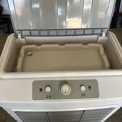 Portable Indoor/Outdoor Cooler