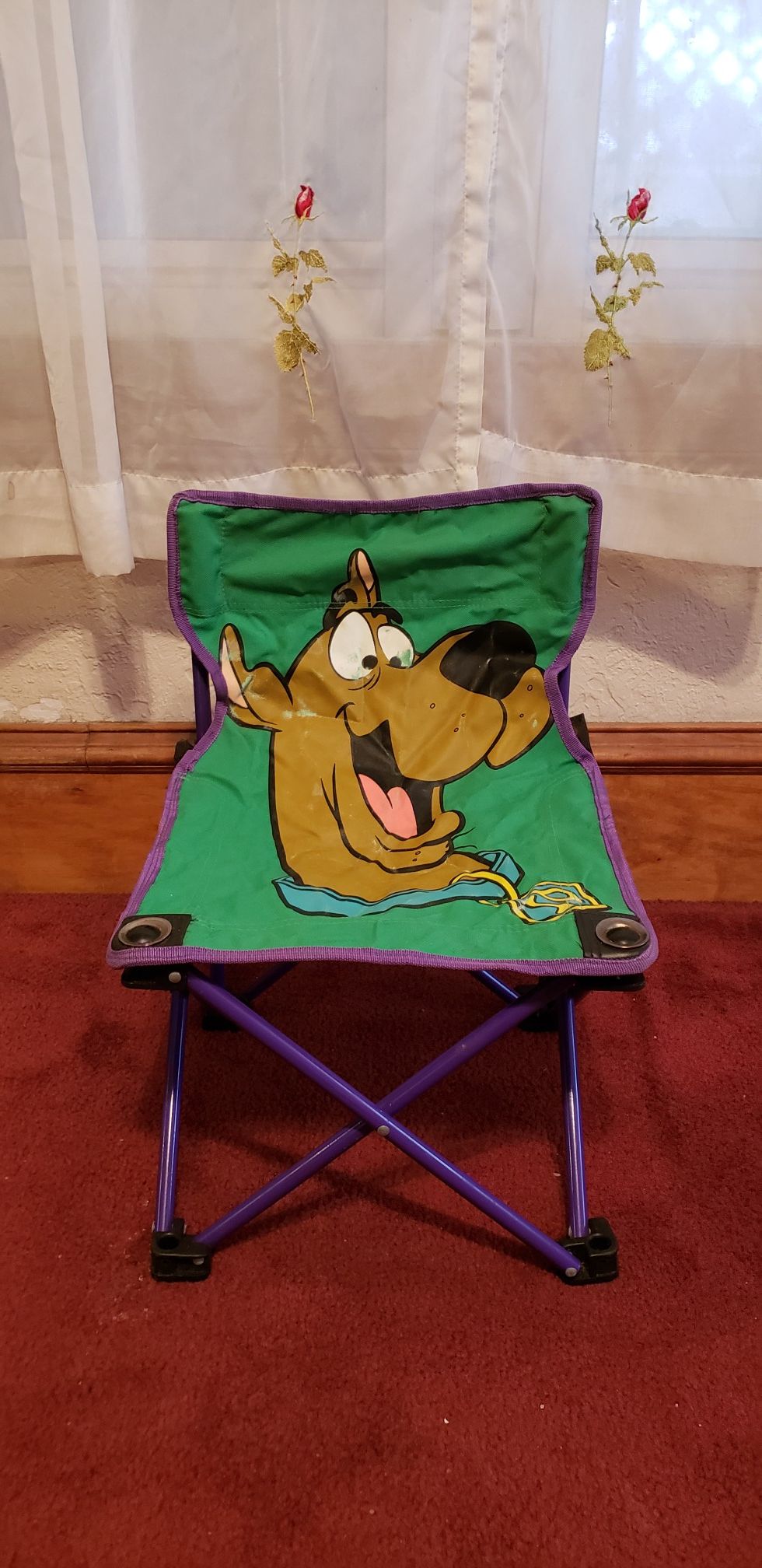 Scooby-Doo Toddler Child-Size Green Folding Chair w/ Carrying Bag