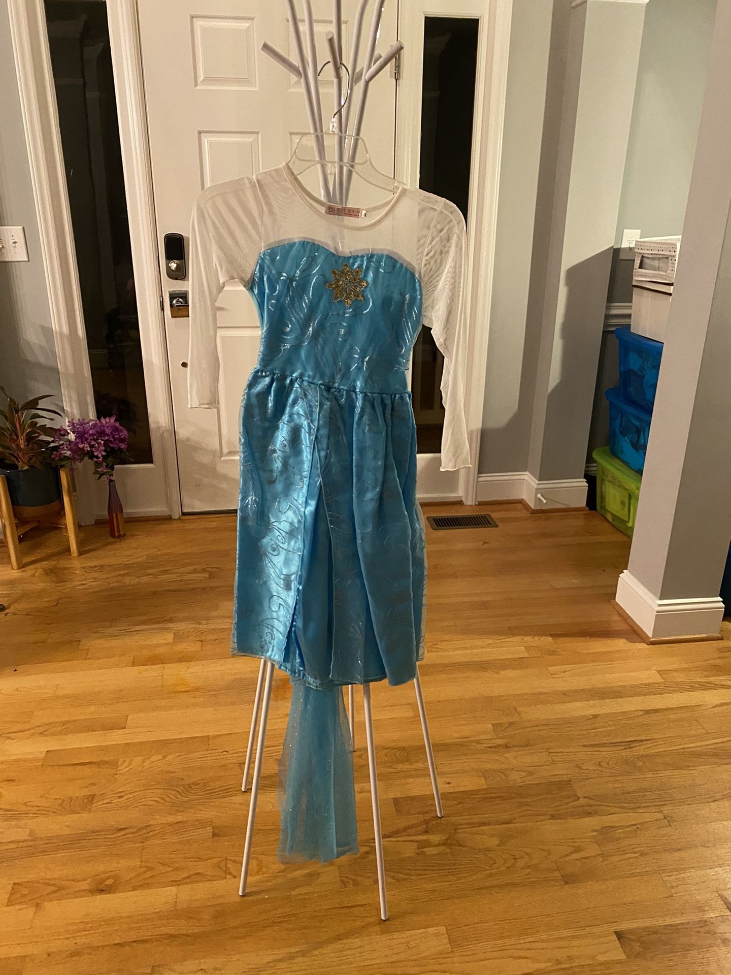 Elsa Costume