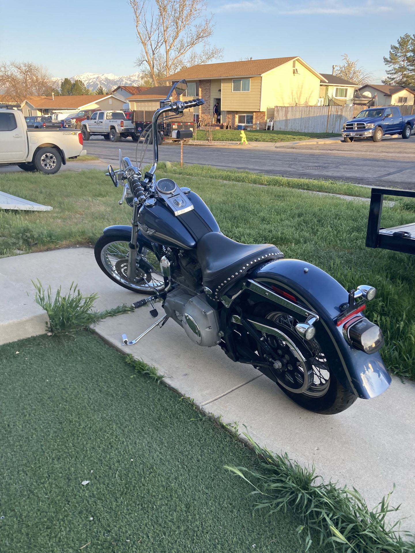 100th year anniversary standard Softail