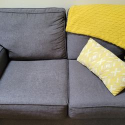 Gray Loveseat Sofa